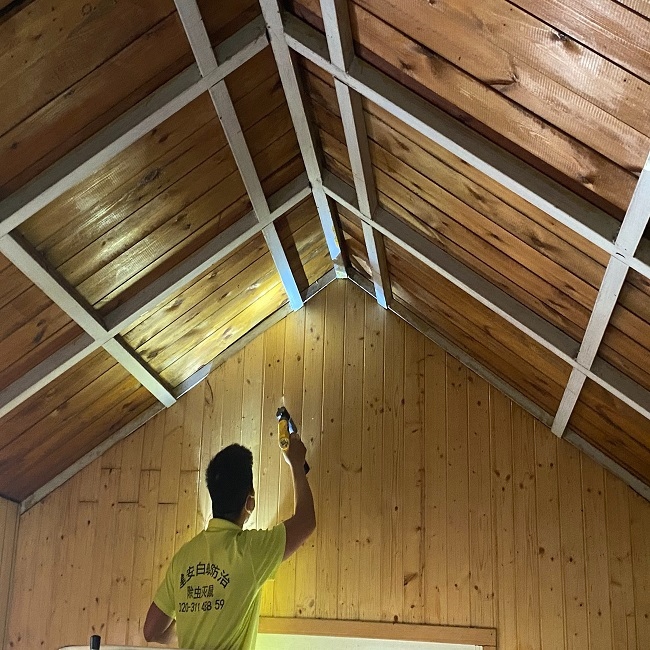 番禺装修房屋白蚁预防价格-番禺白蚁预防