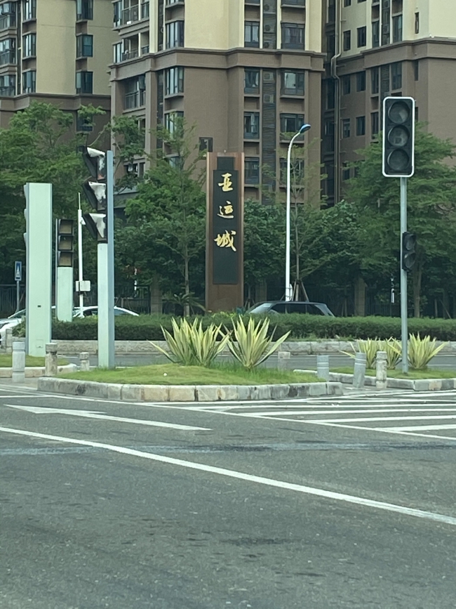 番禺石楼白蚁防治中心，石楼消杀白蚁公司
