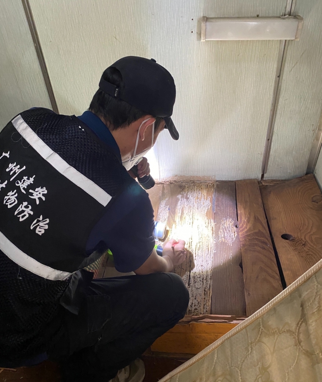 南沙白蚁防治中心 南沙白蚁防治所【7*24小时无休服务】