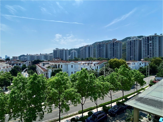 南沙白蚁防治，南沙消杀白蚂蚁公司【强烈推荐建安虫控】