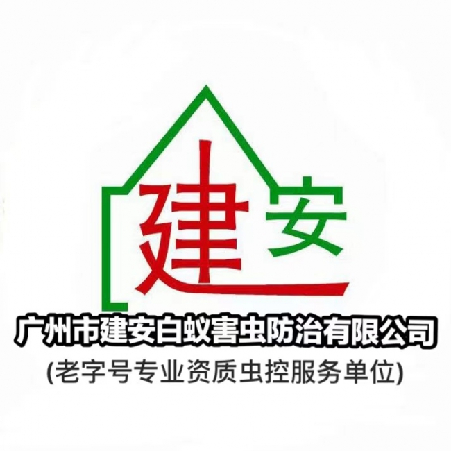 广州市番禺上门灭治白蚁 认准建安虫控公司!上门杀蚁电话