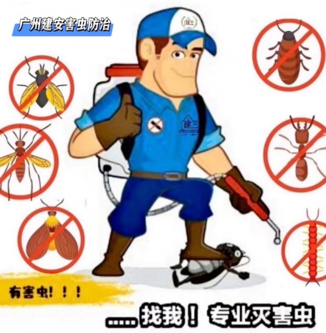 番禺上门杀臭虫灭跳蚤 工厂-工地宿舍除虫