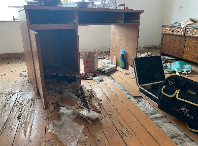 南沙龙穴街白蚁防治站 龙穴街灭白蚁公司