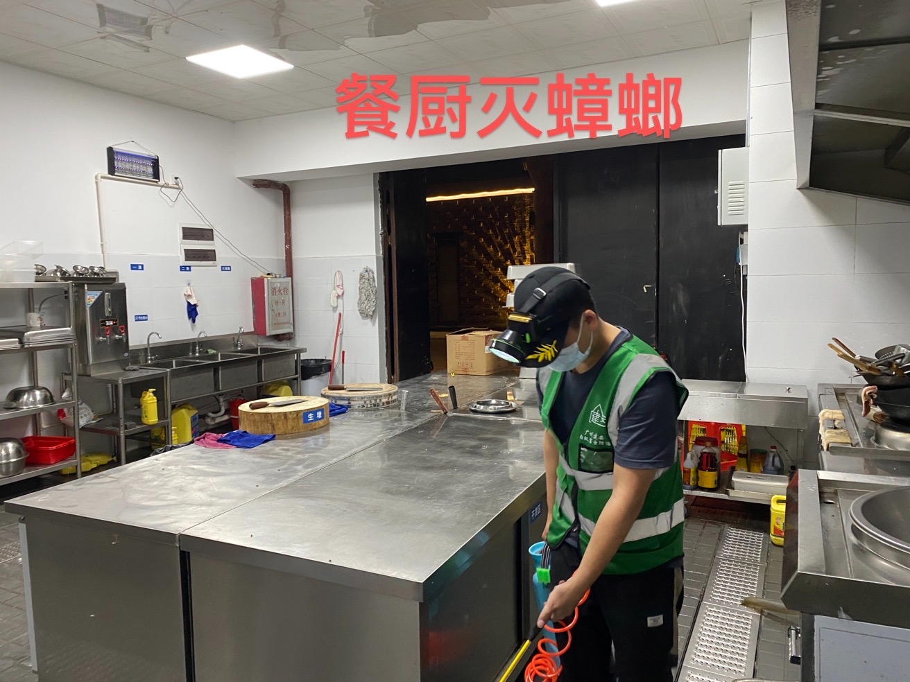 灭蟑螂 快速上门消杀 防治蟑螂