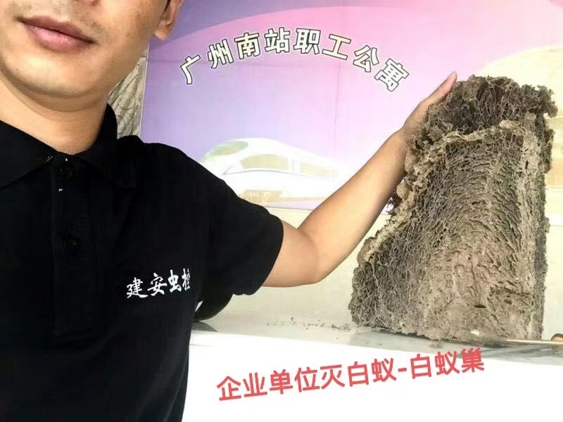 番禺区防治白蚁 广州市番禺建安白蚁害虫防治有限公司