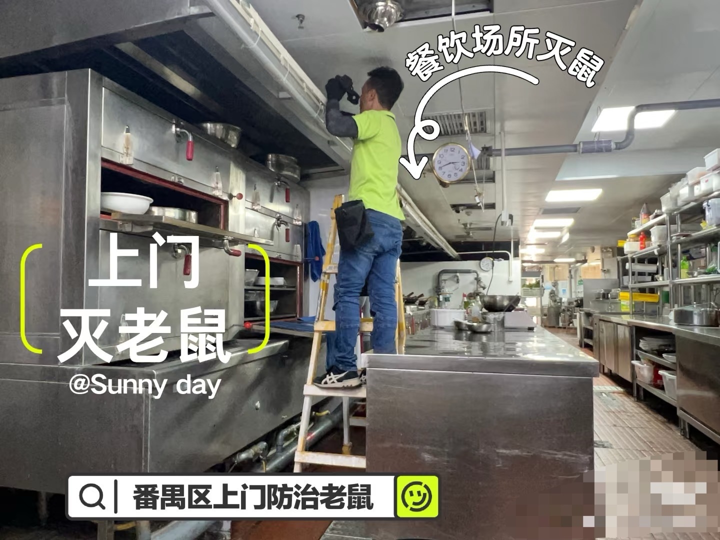 番禺灭鼠杀虫公司 上门灭鼠电话号码