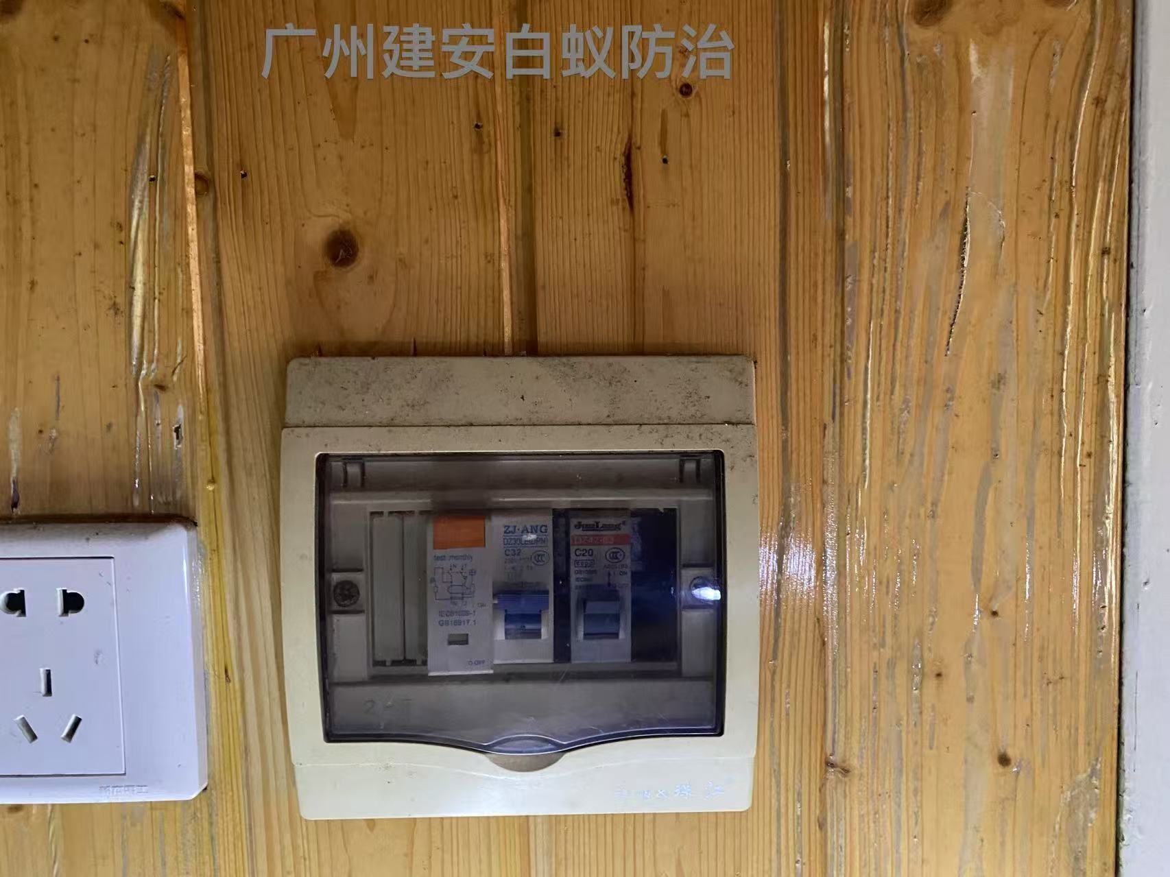 广州市建安白蚁害虫防治有限公司