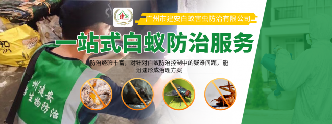 白蚁的危害，番禺区上门杀白蚁服务,番禺白蚁防治服务中心电话