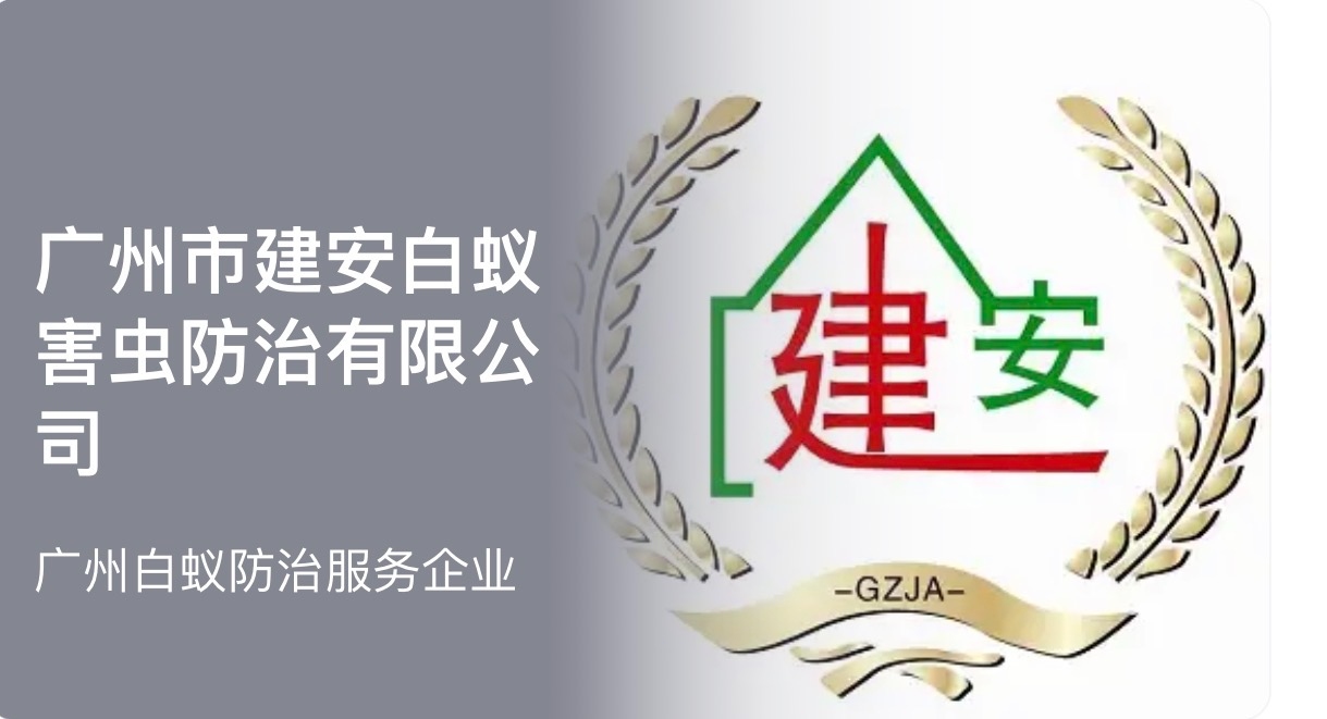 番禺白蚁防治公司 本地机构 上门灭白蚁服务