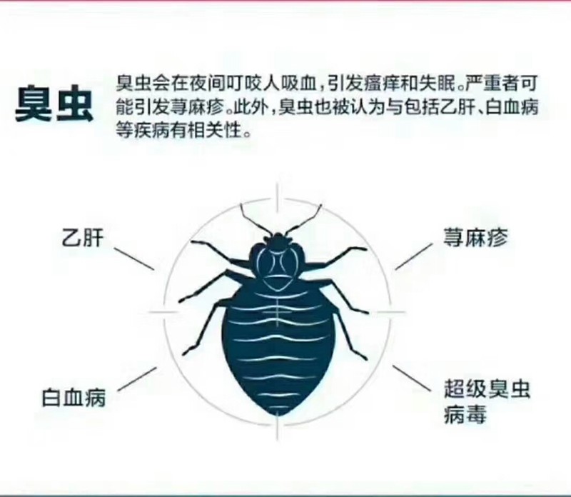 吸血虫：臭虫；跳蚤；虱子