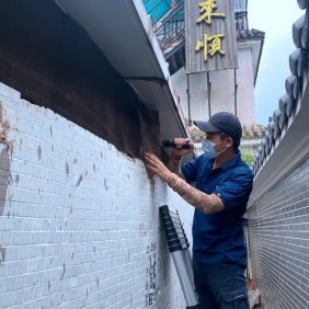 酒楼防治老鼠