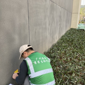 工厂企业灭鼠 防治老鼠 除四害消杀服务