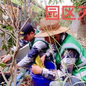园区灭老鼠，专业防治老鼠