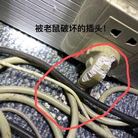 防治鼠患