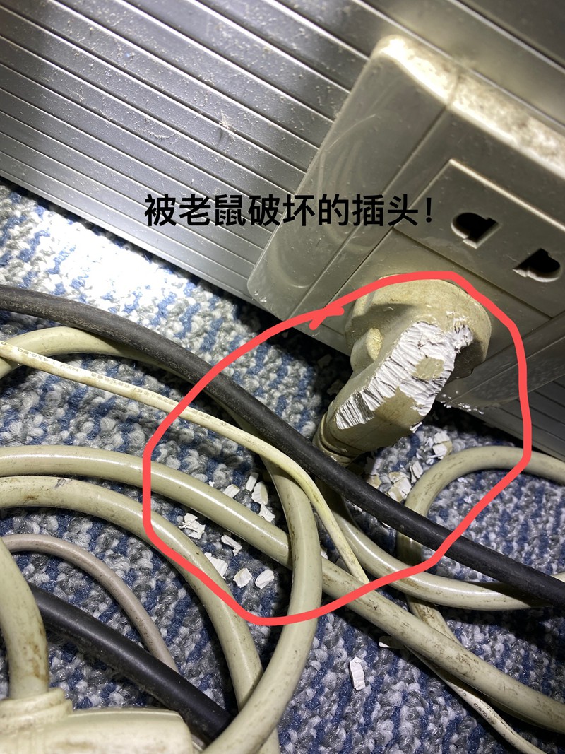 防治鼠患