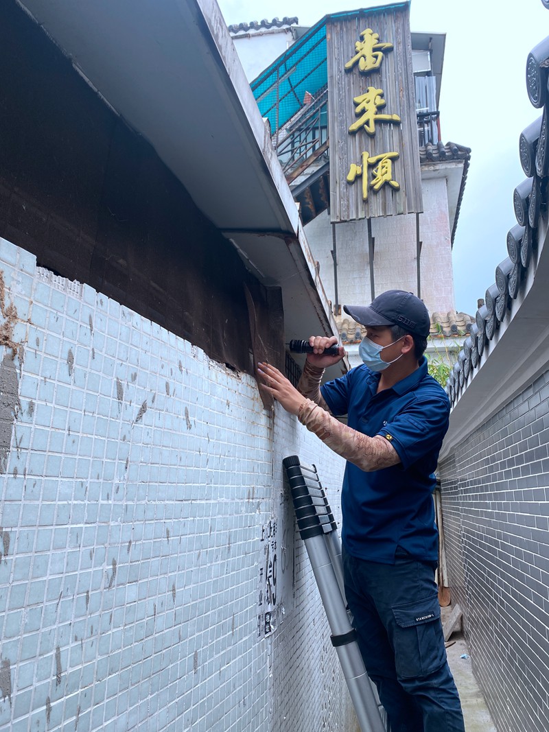 酒楼防治老鼠