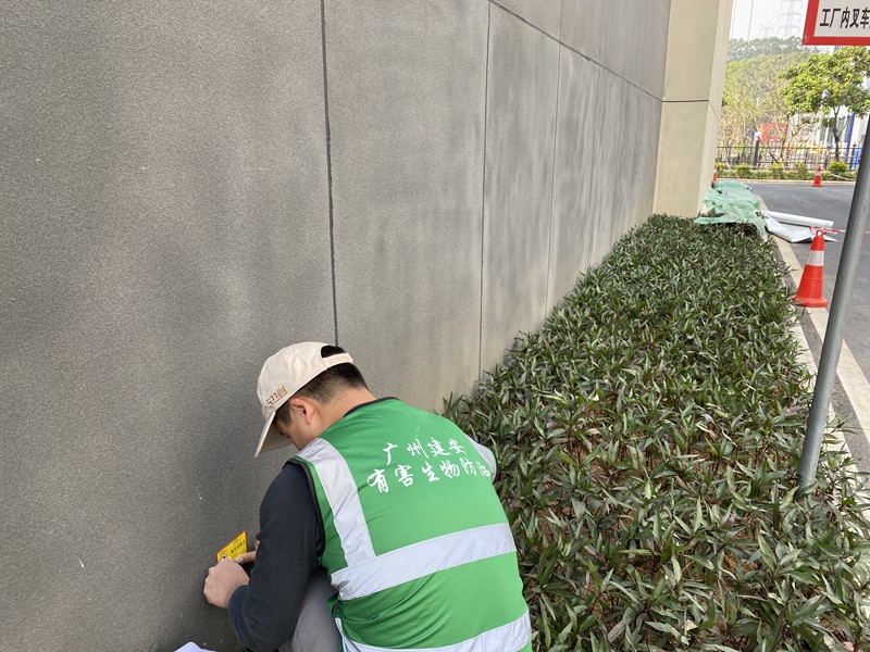工厂企业灭鼠 防治老鼠 除四害消杀服务